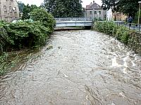Jeřice Jeřice
